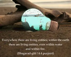 Purport to Bhagavad Gita 14 - thumbnail size