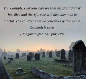 Purport to Bhagavad Gita 14 - thumbnail size
