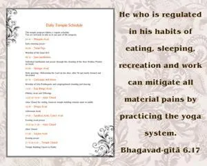 Bhagavad Gita 6.17.en - thumbnail size