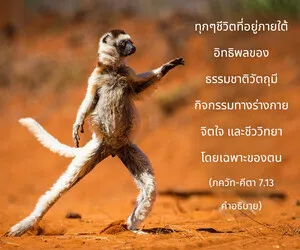 อรรถกถา ภขวัท-คีตา 7 - thumbnail size