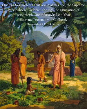 Purport to Bhagavad Gita 15 - thumbnail size