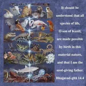 Bhagavad Gita 14.4.en - thumbnail size