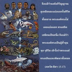 ภขวัท-คีตา 13.17 - thumbnail size