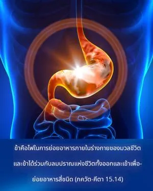 ภขวัท-คีตา 15.14 - thumbnail size