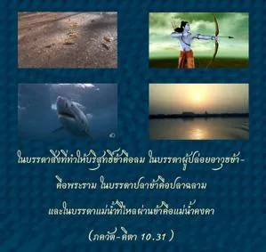 ภขวัท-คีตา 10.31 - thumbnail size