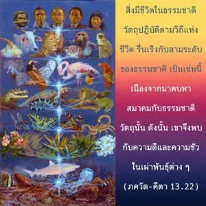ภขวัท-คีตา 13.22 - thumbnail size