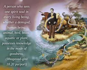 Purport to Bhagavad Gita 18 - thumbnail size