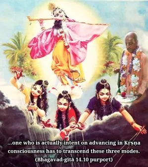 Purport to Bhagavad Gita 14 - thumbnail size