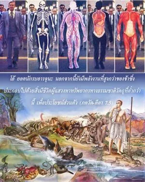 ภขวัท-คีตา 7.5 - thumbnail size