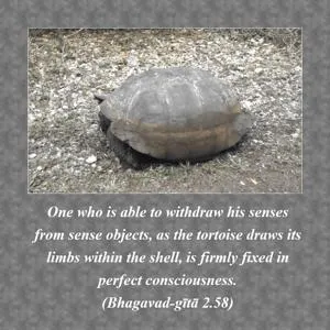 Bhagavad Gita 2.58.en - thumbnail size