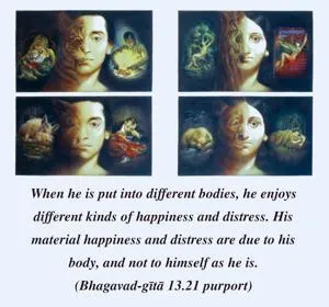 Purport to Bhagavad Gita 13 - thumbnail size