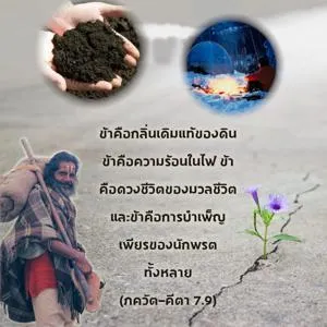 ภขวัท-คีตา 7.9 - thumbnail size