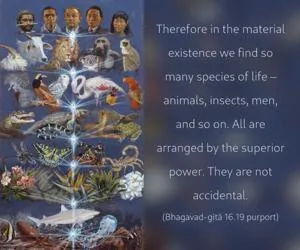 Purport to Bhagavad Gita 16 - thumbnail size