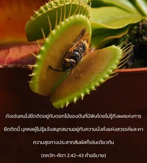 อรรถกถา ภขวัท-คีตา 2 - thumbnail size