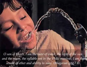 Bhagavad Gita 7.8.en - thumbnail size