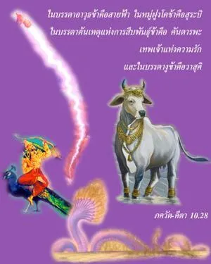 ภขวัท-คีตา 10.28 - thumbnail size