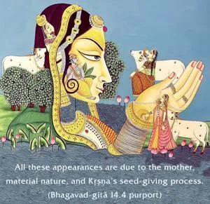 Purport to Bhagavad Gita 14 - thumbnail size