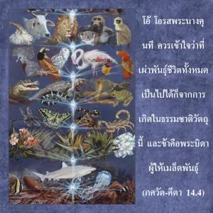 ภขวัท-คีตา 14.4 - thumbnail size