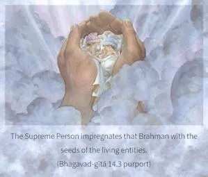 Purport to Bhagavad Gita 14 - thumbnail size