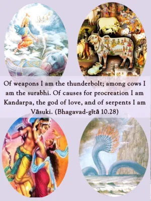 Bhagavad Gita 13.28.en - thumbnail size