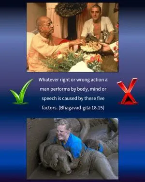 Bhagavad Gita 18.15.en - thumbnail size