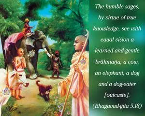 Bhagavad Gita 5.18.en - thumbnail size