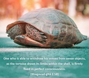 Bhagavad Gita 2.58.en - thumbnail size