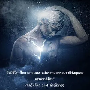 อรรถกถา ภขวัท-คีตา 14 - thumbnail size