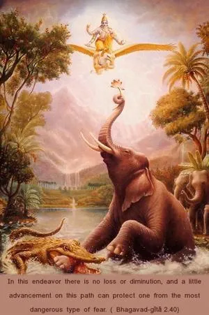 Bhagavad Gita 2.40.0.en - thumbnail size