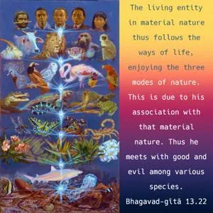 Bhagavad Gita 13.22.en - thumbnail size