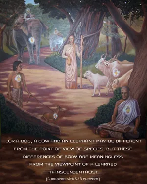 Purport to Bhagavad Gita 5 - thumbnail size