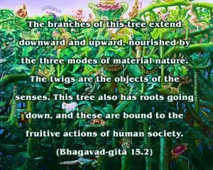 Bhagavad Gita 15.2.en - thumbnail size