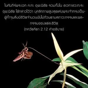 อรรถกถา ภขวัท-คีตา 2 - thumbnail size