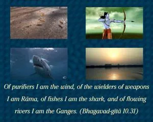 Bhagavad Gita 10.31.en - thumbnail size