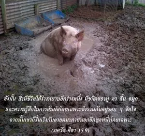 ภขวัท-คีตา 15.9 - thumbnail size