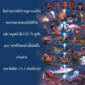 อรรถกถา ภขวัท-คีตา 15 - thumbnail size