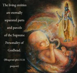 Purport to Bhagavad Gita 15 - thumbnail size