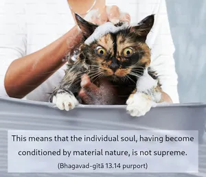 Purport to Bhagavad Gita 13 - thumbnail size