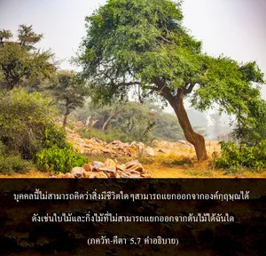 อรรถกถา ภขวัท-คีตา 5 - thumbnail size