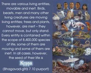 Purport to Bhagavad Gita 7 - thumbnail size