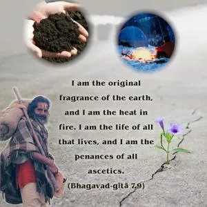 Bhagavad Gita 7.9.en - thumbnail size