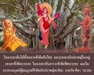 ภขวัท-คีตา 10.26 - thumbnail size