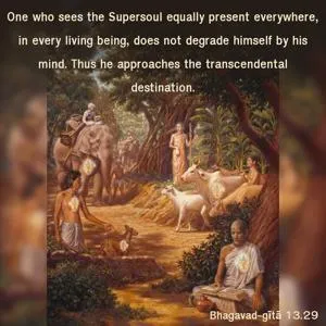 Bhagavad Gita 13.29.en - thumbnail size