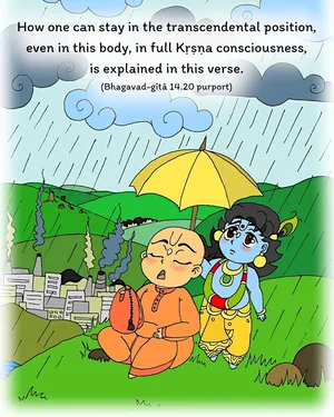 Purport to Bhagavad Gita 14 - thumbnail size