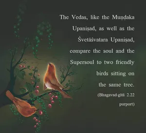 Purport to Bhagavad Gita 2 - thumbnail size