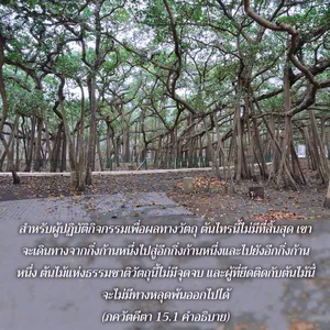อรรถกถา ภขวัท-คีตา 15 - thumbnail size