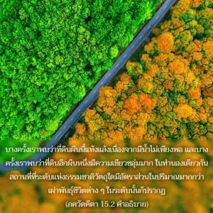 อรรถกถา ภขวัท-คีตา 15 - thumbnail size