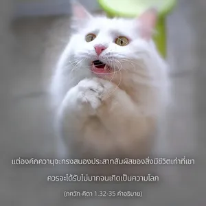 อรรถกถา ภขวัท-คีตา 1 - thumbnail size