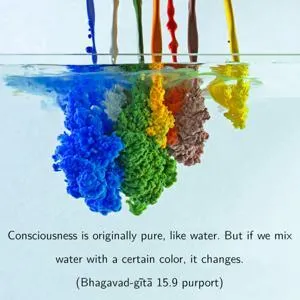 Purport to Bhagavad Gita 15 - thumbnail size