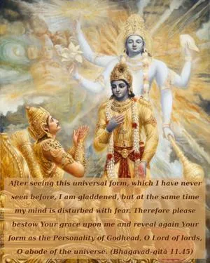 Bhagavad Gita 11.45.en - thumbnail size